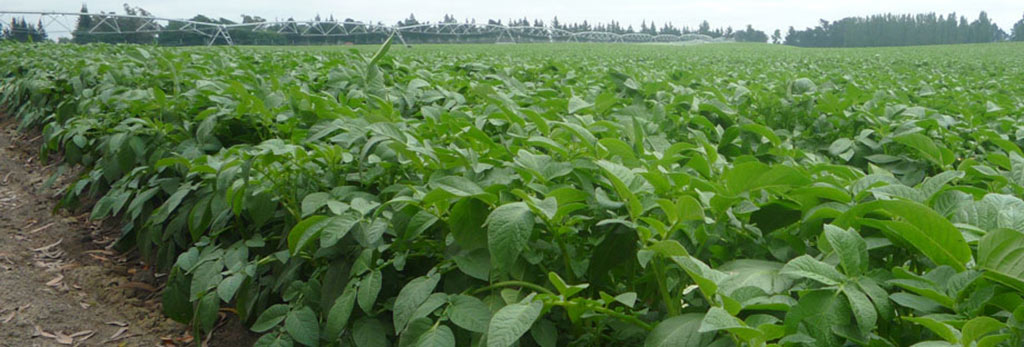 Agronomy Solutions - 